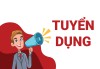 Thông báo tuyển dụng lao động hợp đồng