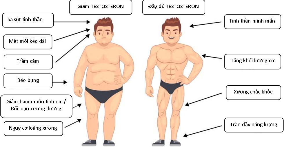 Giảm testosterone, vấn đề ít được quan tâm ở nam giới